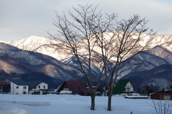 Enlarge photo 5