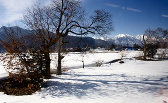 Enlarge photo 2
