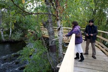 Enlarge photo 16