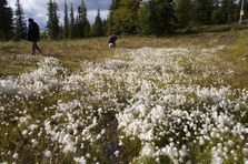Enlarge photo 24
