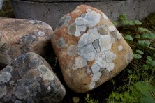 Enlarge photo 31