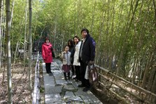 Enlarge photo 11
