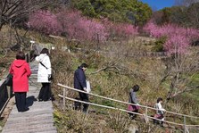 Enlarge photo 14