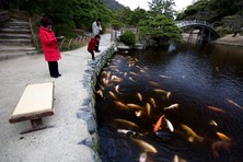 Enlarge photo 29