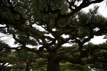 Enlarge photo 31