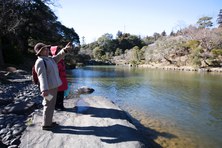 Enlarge photo 19