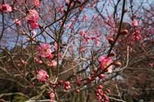 Enlarge photo 25