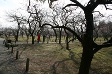 Enlarge photo 26