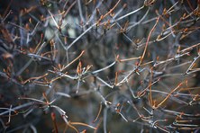 Enlarge photo 28