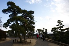 Enlarge photo 29