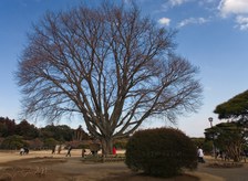 Enlarge photo 30