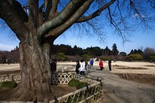 Enlarge photo 31