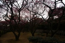 Enlarge photo 34