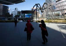 Enlarge photo 47