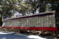 Enlarge photo 48