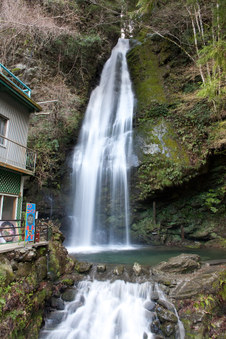 Enlarge photo 7