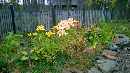 Enlarge photo 32