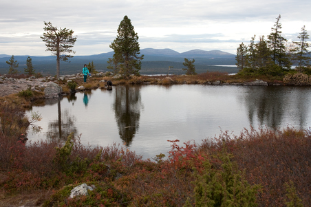 Enlarge photo 2
