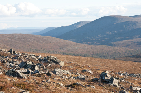 Enlarge photo 13
