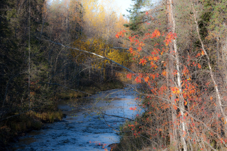 Enlarge photo 10