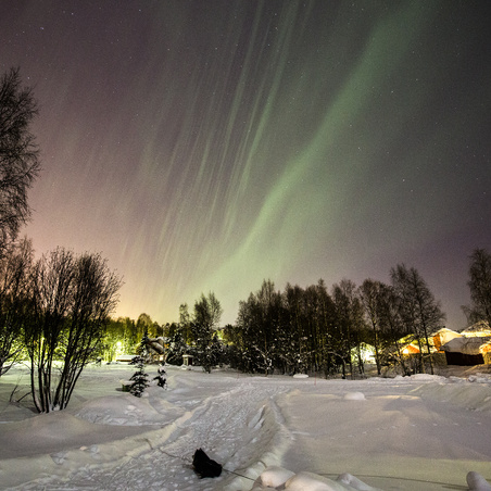 Enlarge photo 26