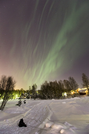 Enlarge photo 27