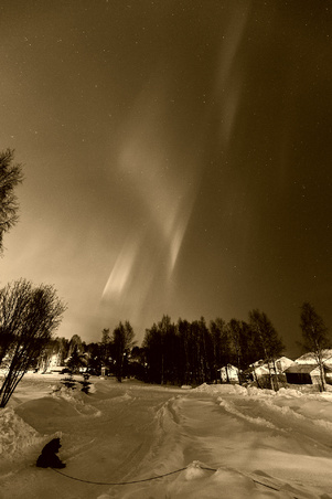Enlarge photo 30