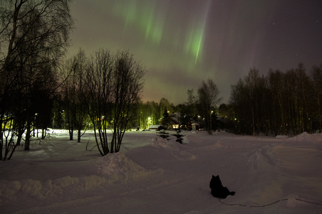 Enlarge photo 32