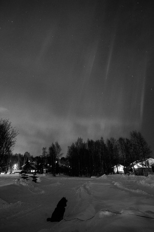 Enlarge photo 33