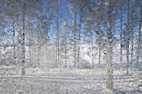 Enlarge photo 63