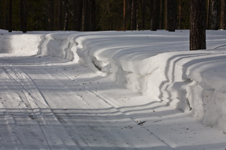 Enlarge photo 50