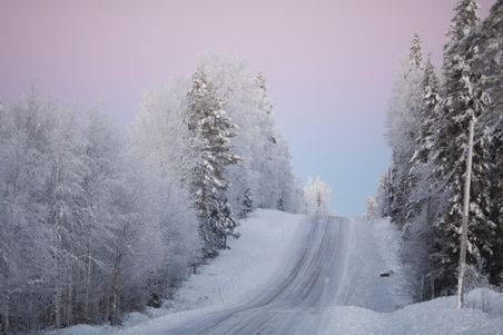 Enlarge photo 67