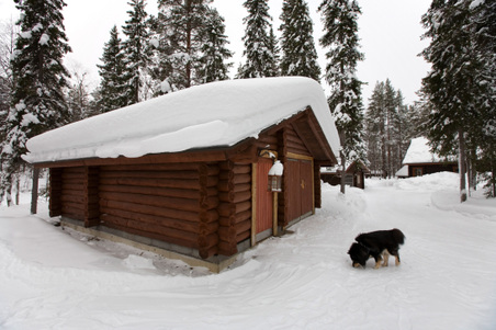 Enlarge photo 58