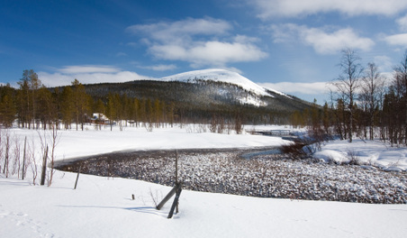 Enlarge photo 54