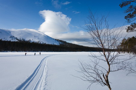 Enlarge photo 55