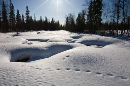 Enlarge photo 45