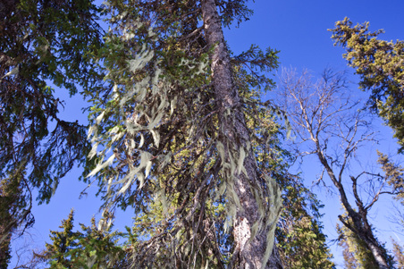 Enlarge photo 33