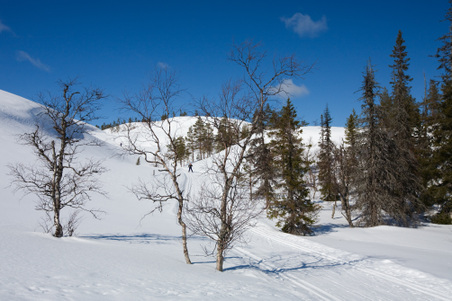 Enlarge photo 35
