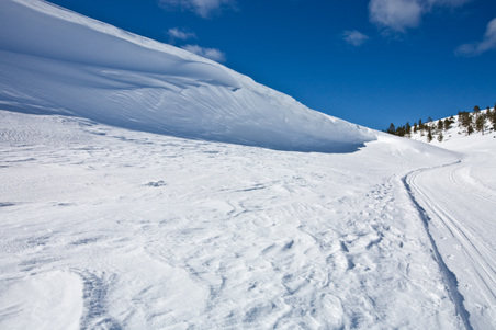 Enlarge photo 38