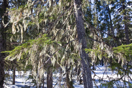 Enlarge photo 42