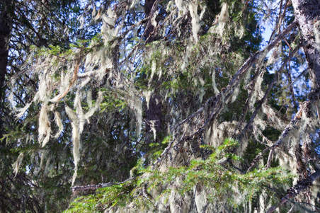 Enlarge photo 43