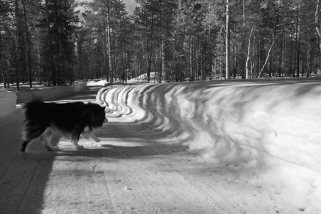 Enlarge photo 31