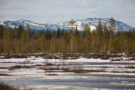 Enlarge photo 18