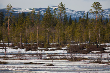 Enlarge photo 19