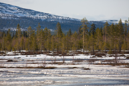 Enlarge photo 20