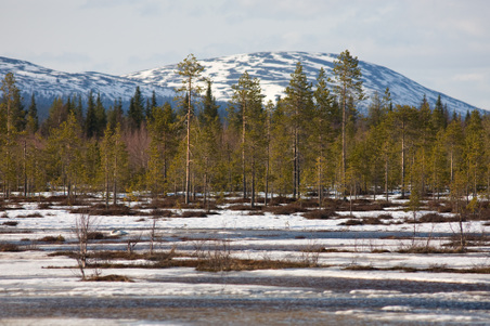 Enlarge photo 21