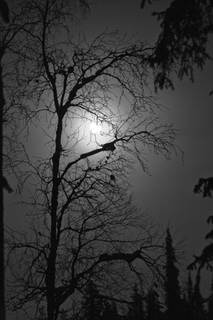 Enlarge photo 68