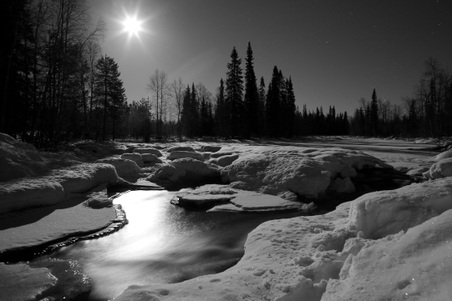 Enlarge photo 70