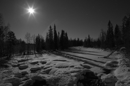 Enlarge photo 71