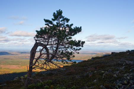Enlarge photo 88